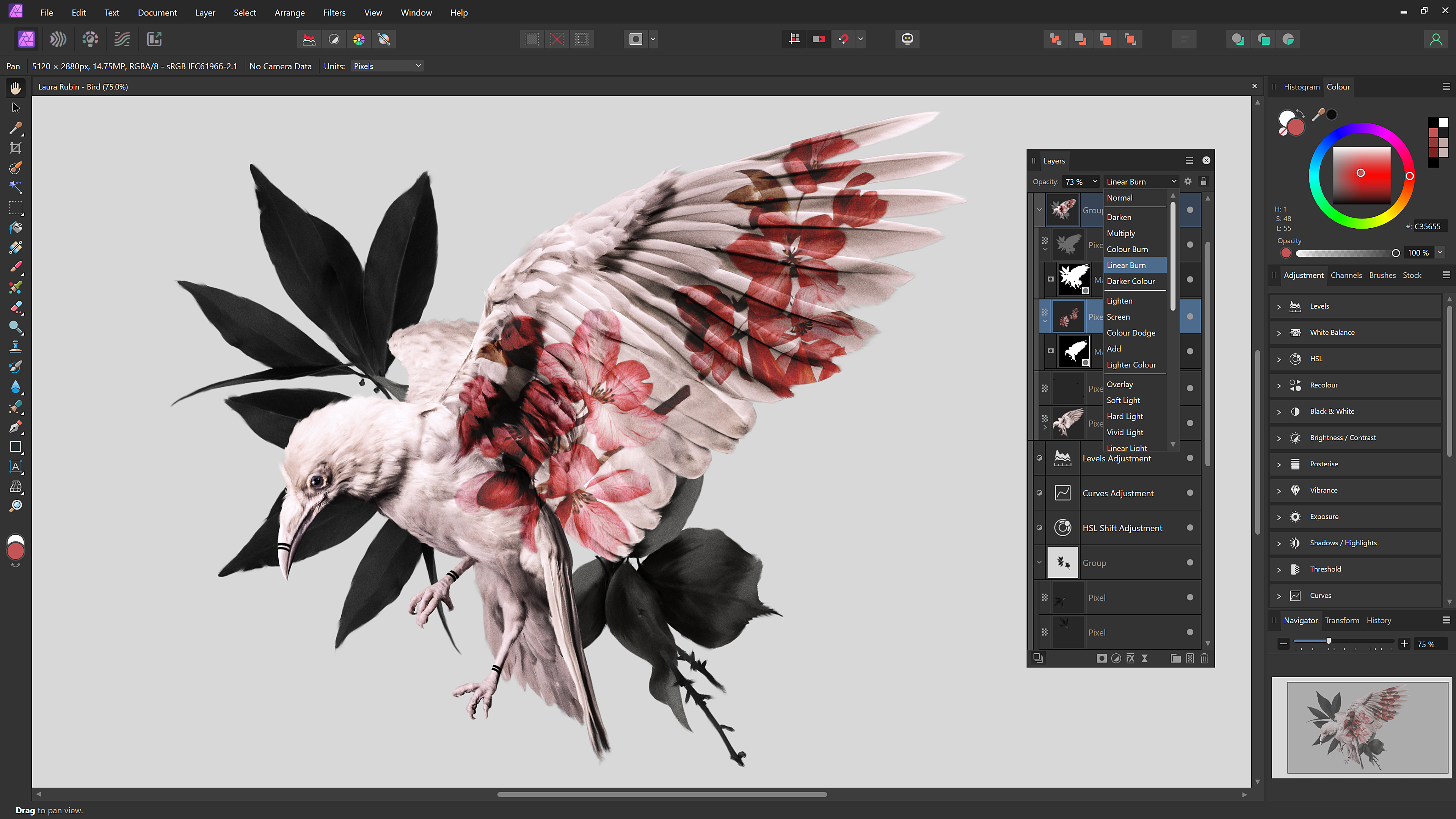 Affinity Photo