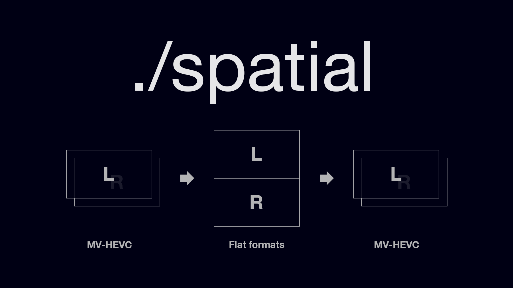 Spatial Video Tool